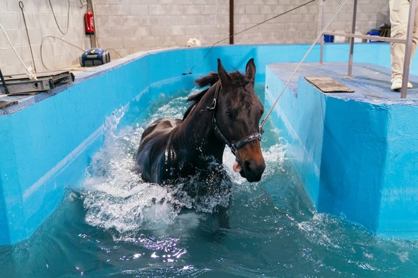 Can Hydrotherapy Benefit Individuals with Multiple Sclerosis by Improving Mobility?