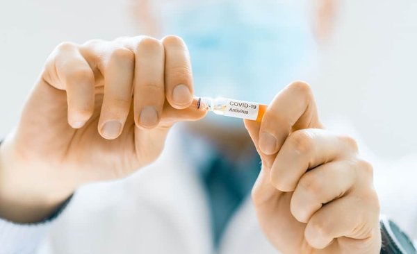 How to Choose the Best Flea and Tick Prevention for Pets in a Wooded Area?